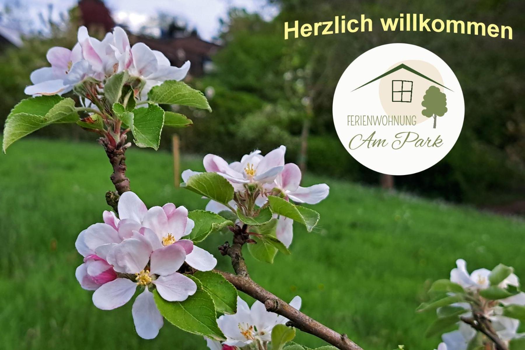 Grosszuegige Wohnung Am Comberg-Park Метманн Экстерьер фото